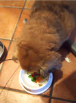 3F0EADC4-6B0F-4D86-AB55-33FDE76918AD.jpeg